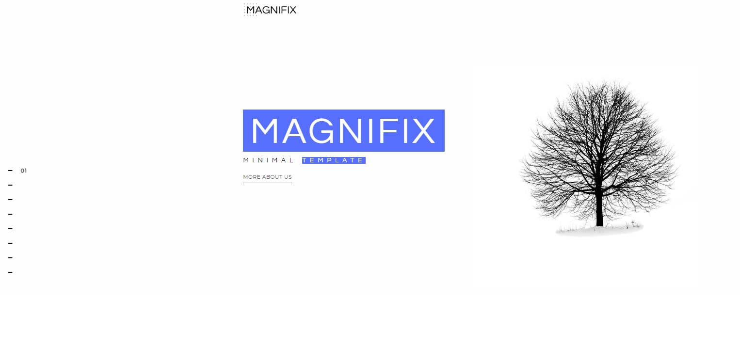 Сайт для Magnifix