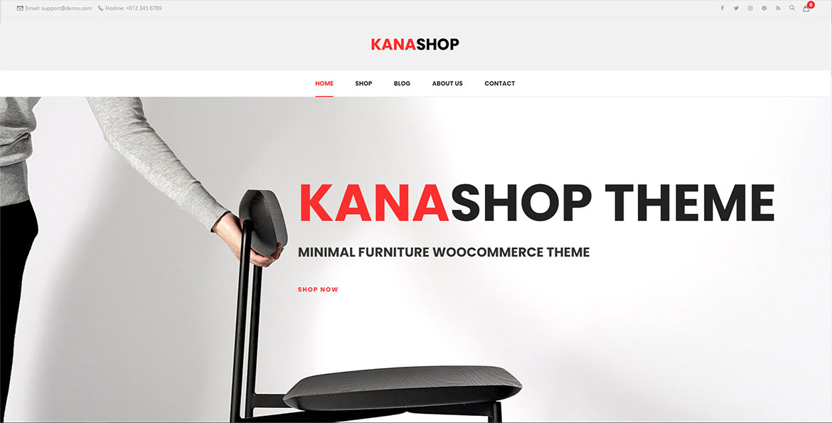 Сайт для Kanashop