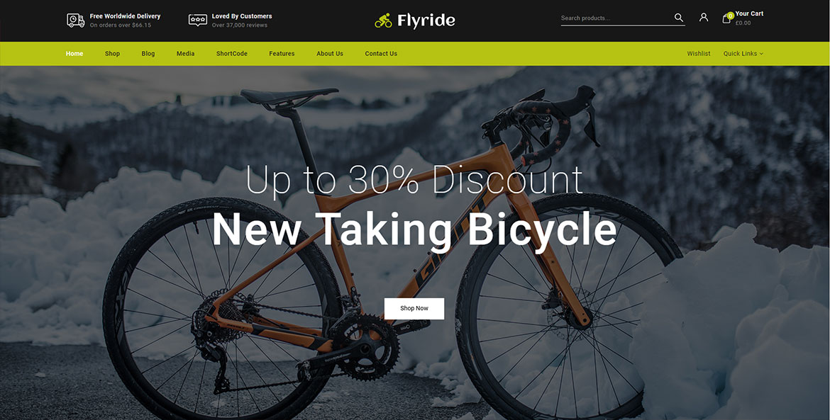 Сайт для Flyride