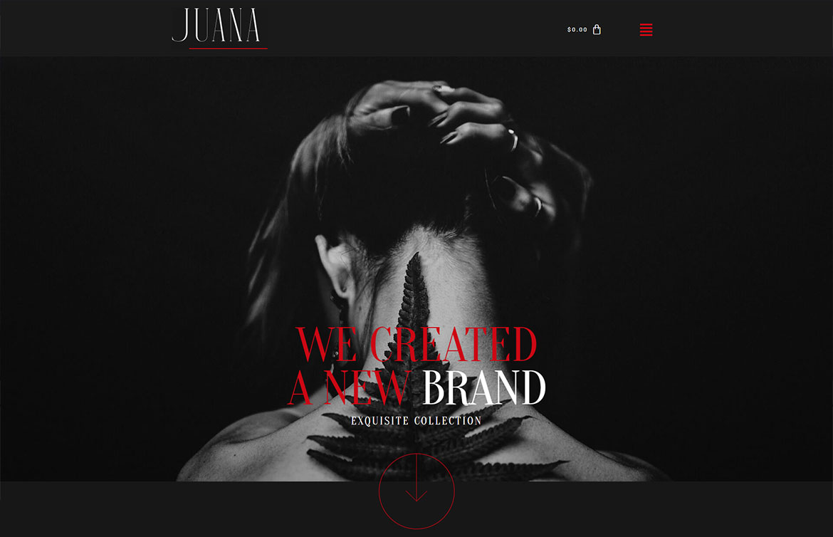Сайт для Juana